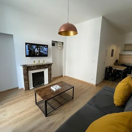Bel - - 4 Pers - Balcon - Centre - Iut Apartmán